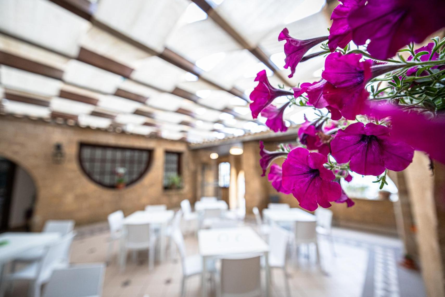La Rosa Hotel - Selinunte Marinella di Selinunte Exterior foto